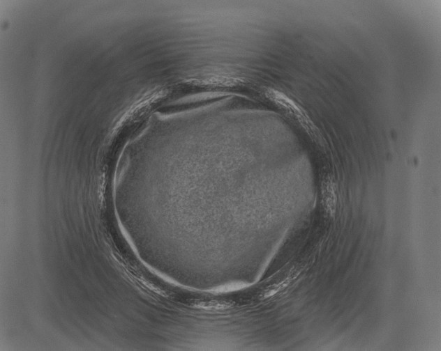 X0000082680735200702091632