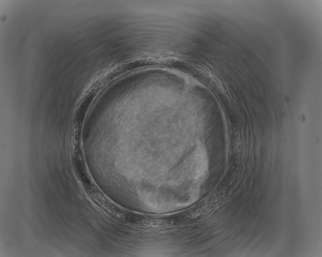 X0000082680736200702091632