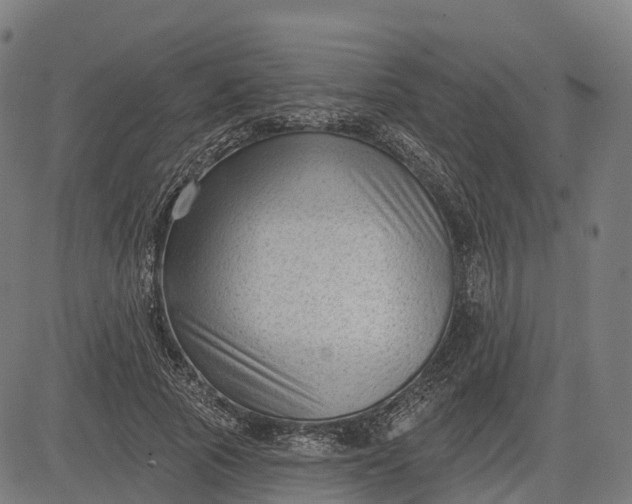 X0000082680737200702091632