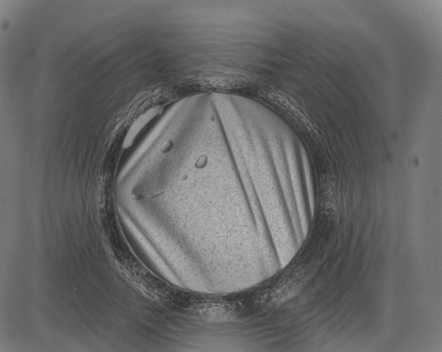 X0000082680738200702091632