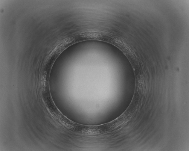 X0000082680739200702091632