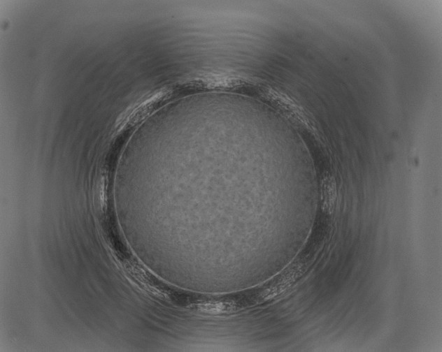 X0000082680740200702091632