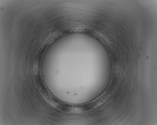 X0000082680741200702091632