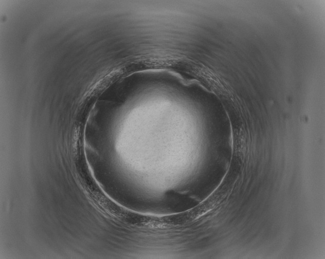 X0000082680742200702091632