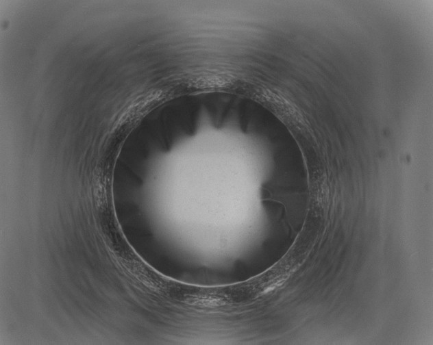 X0000082680743200702091632