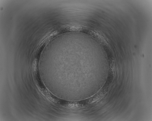 X0000082680744200702091632