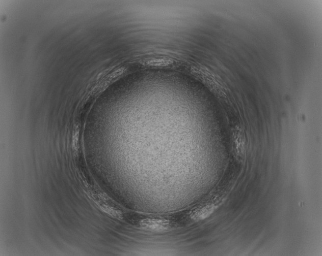 X0000082680745200702091632