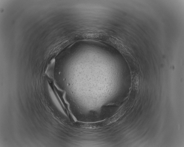 X0000082680746200702091632