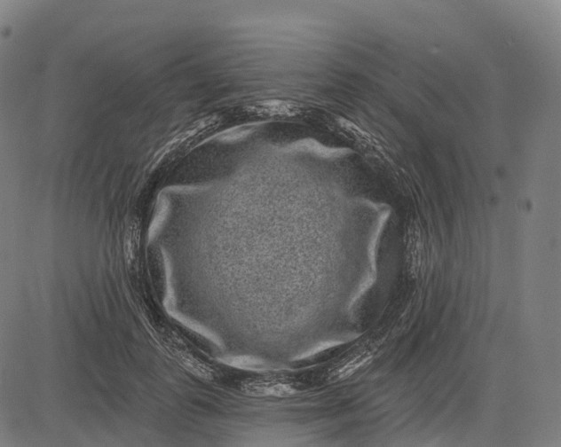 X0000082680747200702091632