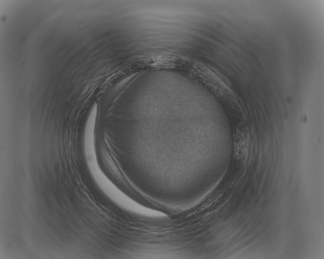 X0000082680748200702091632