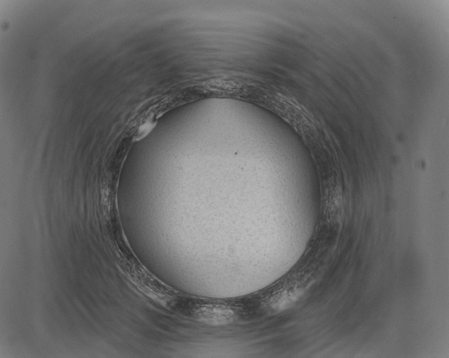 X0000082680749200702091632