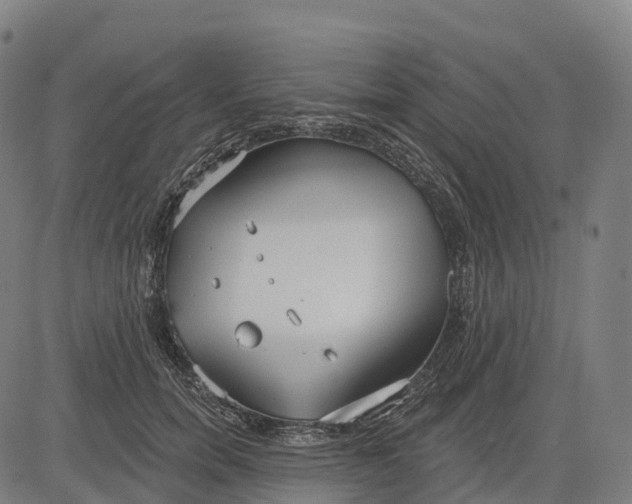 X0000082680750200702091632