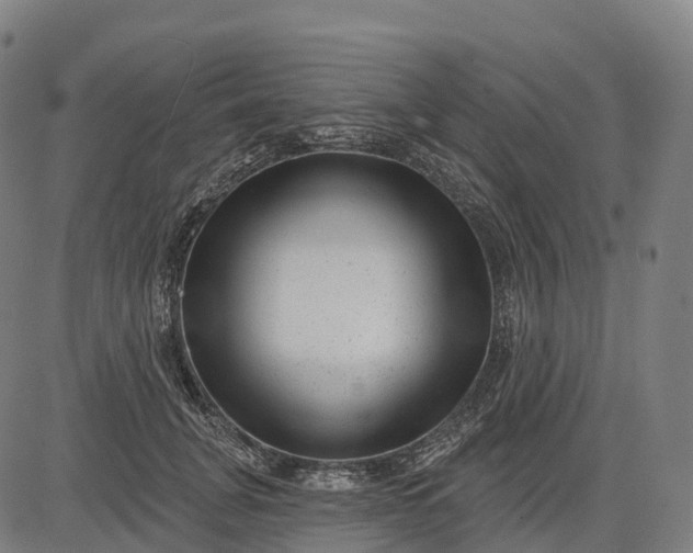 X0000082680751200702091632