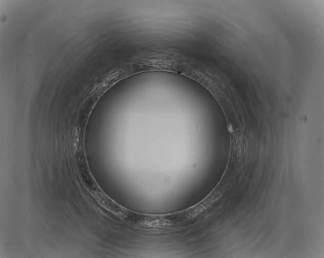 X0000082680752200702091632