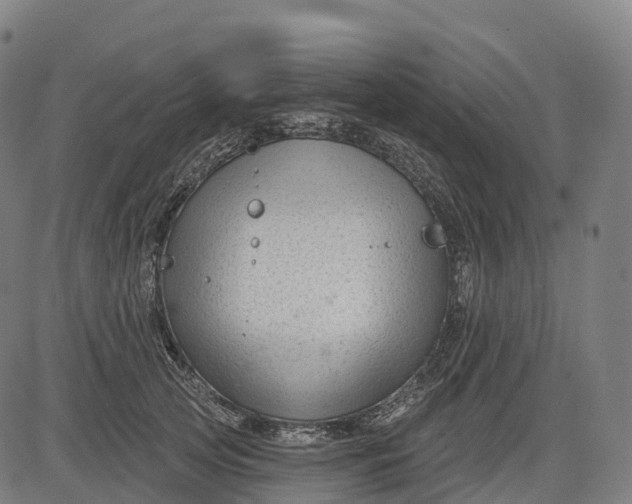 X0000082680753200702091632