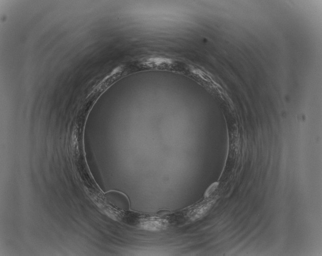 X0000082680754200702091632