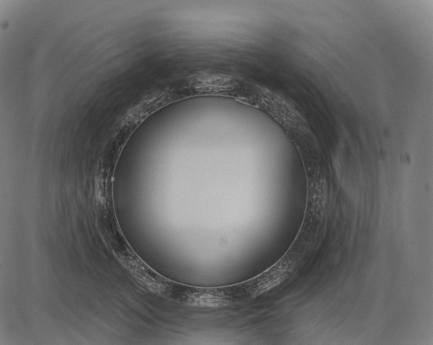 X0000082680755200702091632