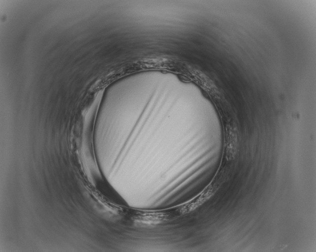 X0000082680758200702091632