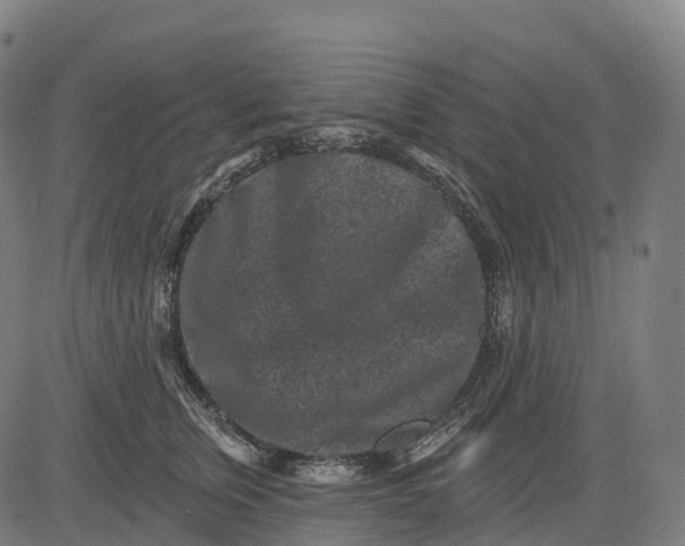 X0000082680759200702091632