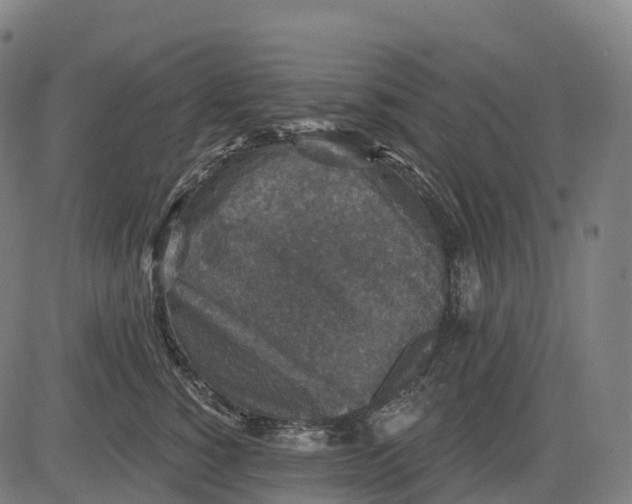 X0000082680760200702091632