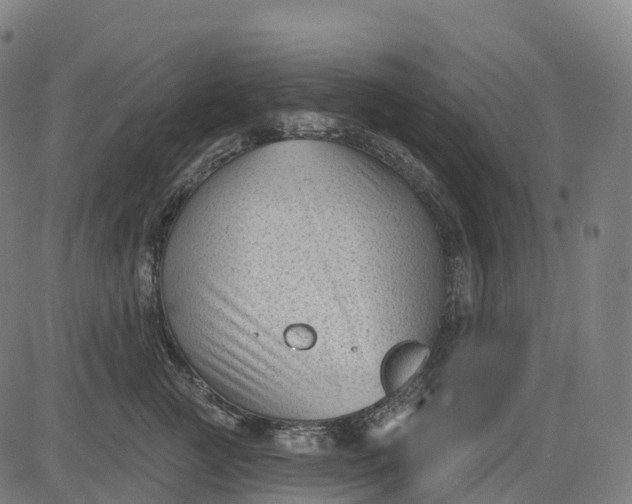 X0000082680761200702091632