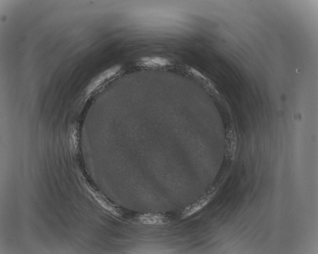 X0000082680762200702091632