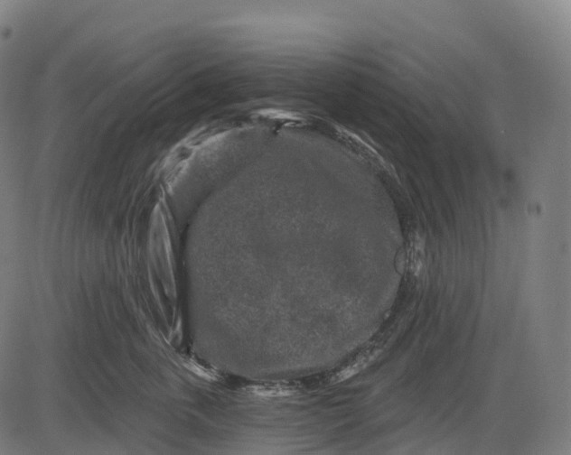 X0000082680763200702091632