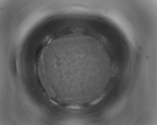 X0000082680765200702091632