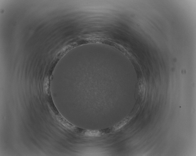 X0000082680767200702091632