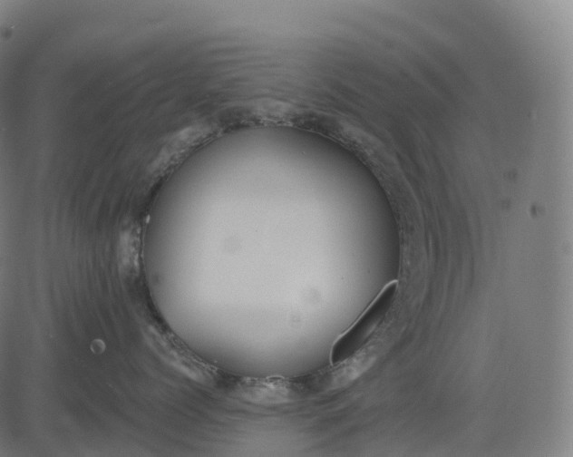 X0000082680768200702091632