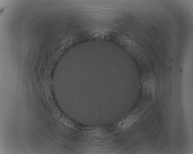 X0000082680769200702091631