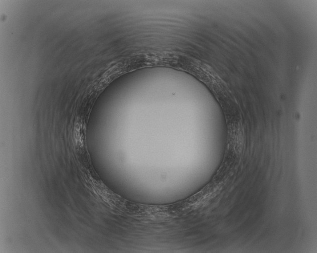 X0000082680770200702091631