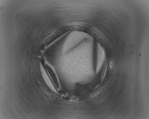 X0000082680771200702091631