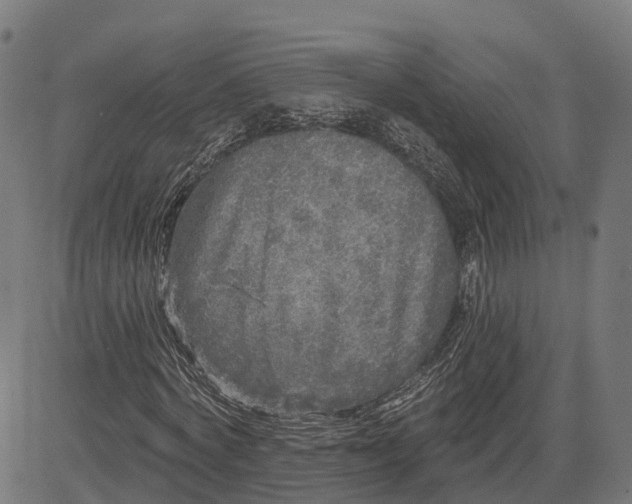 X0000082680772200702091631