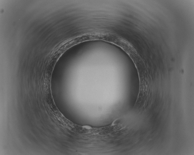 X0000082680773200702091631