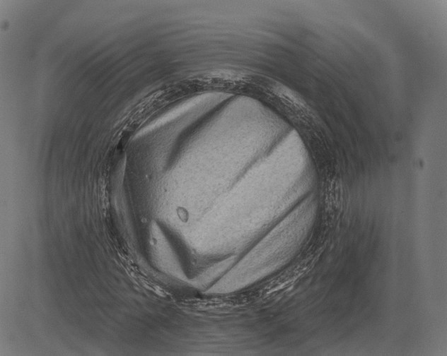 X0000082680774200702091631