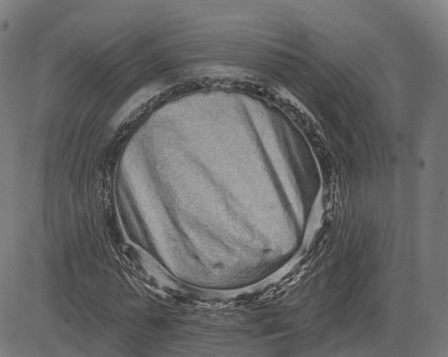 X0000082680775200702091631