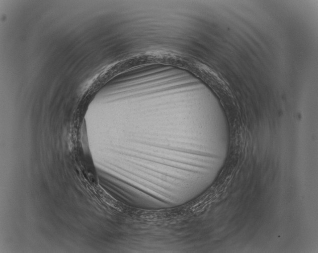 X0000082680776200702091631