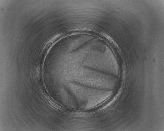 X0000082680777200702091631