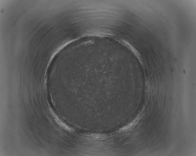 X0000082680779200702091631