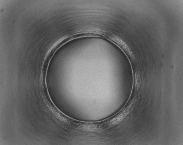 X0000082680780200702091631