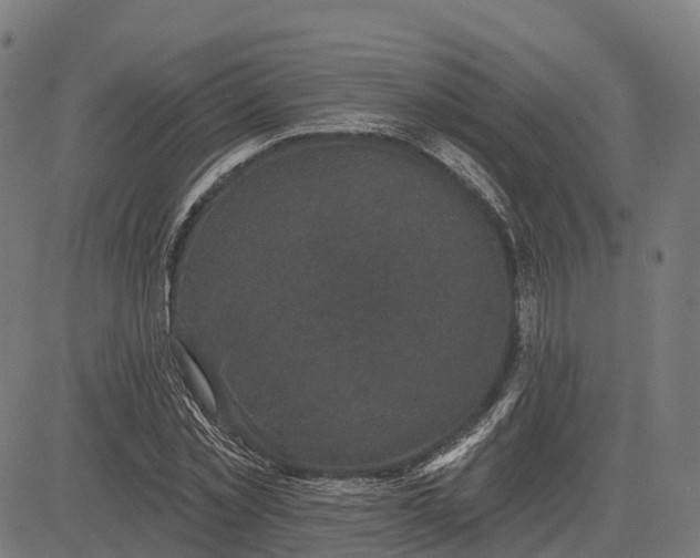 X0000082680781200702091631