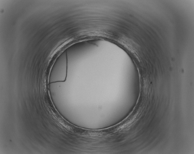 X0000082680782200702091631