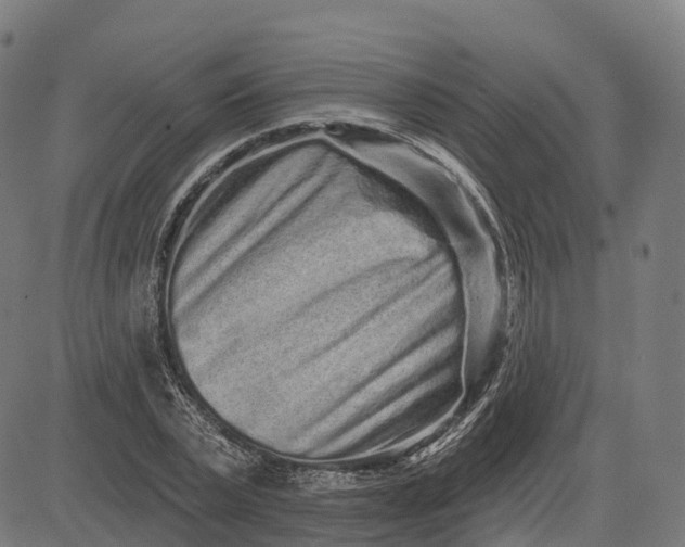 X0000082680783200702091631