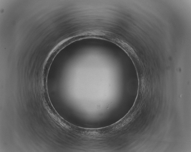 X0000082680784200702091631