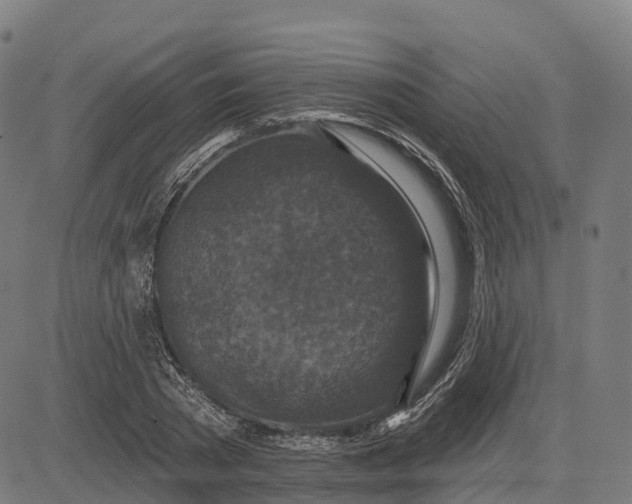 X0000082680785200702091631