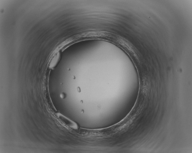 X0000082680786200702091631