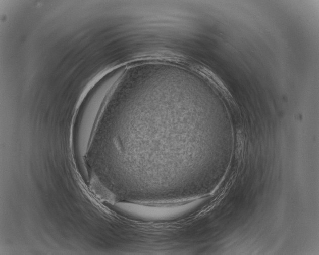 X0000082680788200702091631