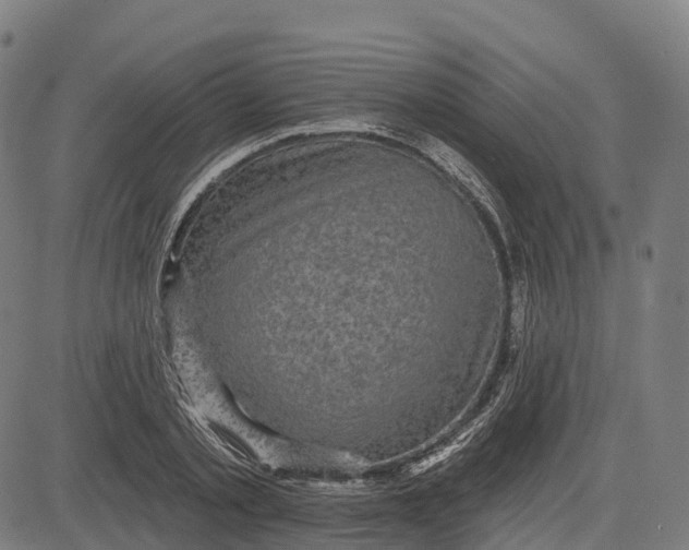 X0000082680789200702091631