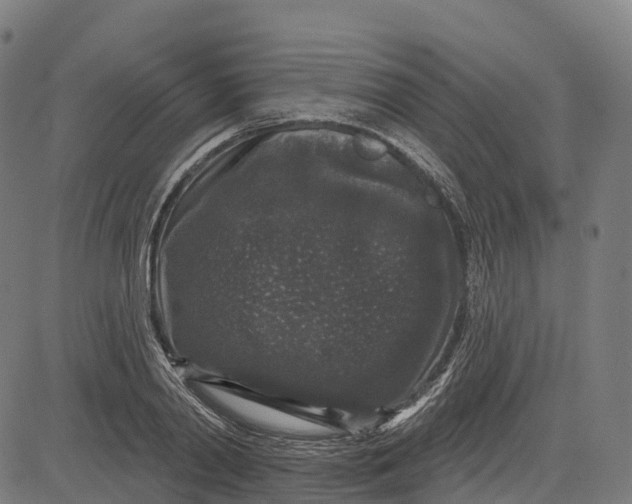 X0000082680790200702091631